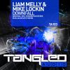 Download track Downfall (Zondervan Remix)