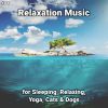 Download track Relaxation Music, Pt. 9