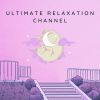 Download track Relaxation Oasis