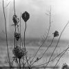 Download track Recondite-Pages