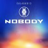 Download track Nobody (Elektro Instrumental)