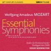 Download track Symphony No. 33 In B-Flat Major, K. 319: II. Andante Moderato (Live)