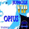 Download track Jungle VIP (Original Mix)