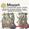 Download track Bassoon Concerto In B-Flat Major, K. 191 186e III. Rondo (Tempo Di Menuetto)