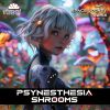 Download track Shrooms (Space Jockey Remix)