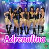 Download track Mega Mixx Adrenalina