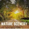 Download track Soundscapes Of Nature Melodies, Pt. 48