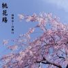 Download track 桃花殇