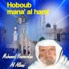 Download track Hoboub Mana' Al Haml, Pt. 2