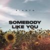 Download track Somebody Like You