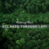 Download track Relaxed Through Lofi