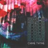 Download track Chime Thyme (Extended Mix)