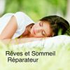 Download track Océan Relaxant Pour Trouver Le Sommeil