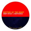 Download track Rhythm Of The Night