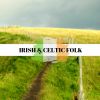 Download track Irish Pub Folk