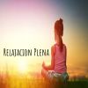 Download track Océano De Meditación Calmante