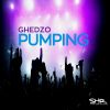 Download track Pumping (Ghedzo Reedit)