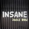 Download track Insane