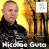 Download track Pustoaica Cu Par Ondulat