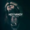 Download track Hey Mikey (Radio Edit)