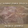 Download track Tierra De Vicuñas