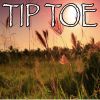 Download track Tip Toe - Tribute To Jason Derulo And French Montana (Instrumental Version)