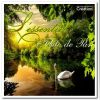 Download track Que Dieu Protège Notre Amour