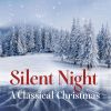 Download track Christmas Oratorio, BWV 248: No. 10, Sinfonia