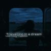 Download track Travelling In A Dream