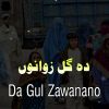 Download track Da Gul Zawanano