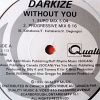 Download track Whitout You (Club Mix)