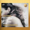 Download track Violin Concerto In D, Op. 61 I. Allegro Ma Non Troppo (Cadenza By Nathan Milstein)