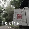 Download track 成熟