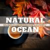 Download track Autumnal Arabica Elegance