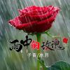 Download track 雨中的玫瑰 (伴奏)