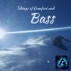 Download track Tidings Of Comfort And Bass