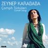 Download track Bu Dunyaya Geldim Etmedim Seyran