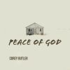 Download track Peace Of God