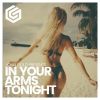 Download track In Your Arms Tonight (Extended Mix)