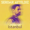 Download track Sen Gelmez Oldun