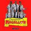 Download track La Guayabera