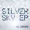 Download track Silver Sky