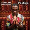 Download track Pahukama