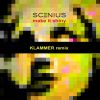 Download track Make It Shiny (Klammer Remix)