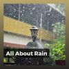 Download track Rain Sounds For Sleeping Baby, Pt. 14