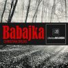 Download track Babajka (Melodic Techno Mix)