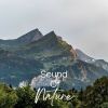 Download track 30 Beautiful Nature Sounds, Pt. 3