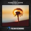 Download track Forever Home (Betsy's Heart, Pt. 2) (Original Mix)