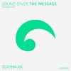 Download track The Message (Original Mix)