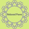 Download track Relaxed Chihuahua